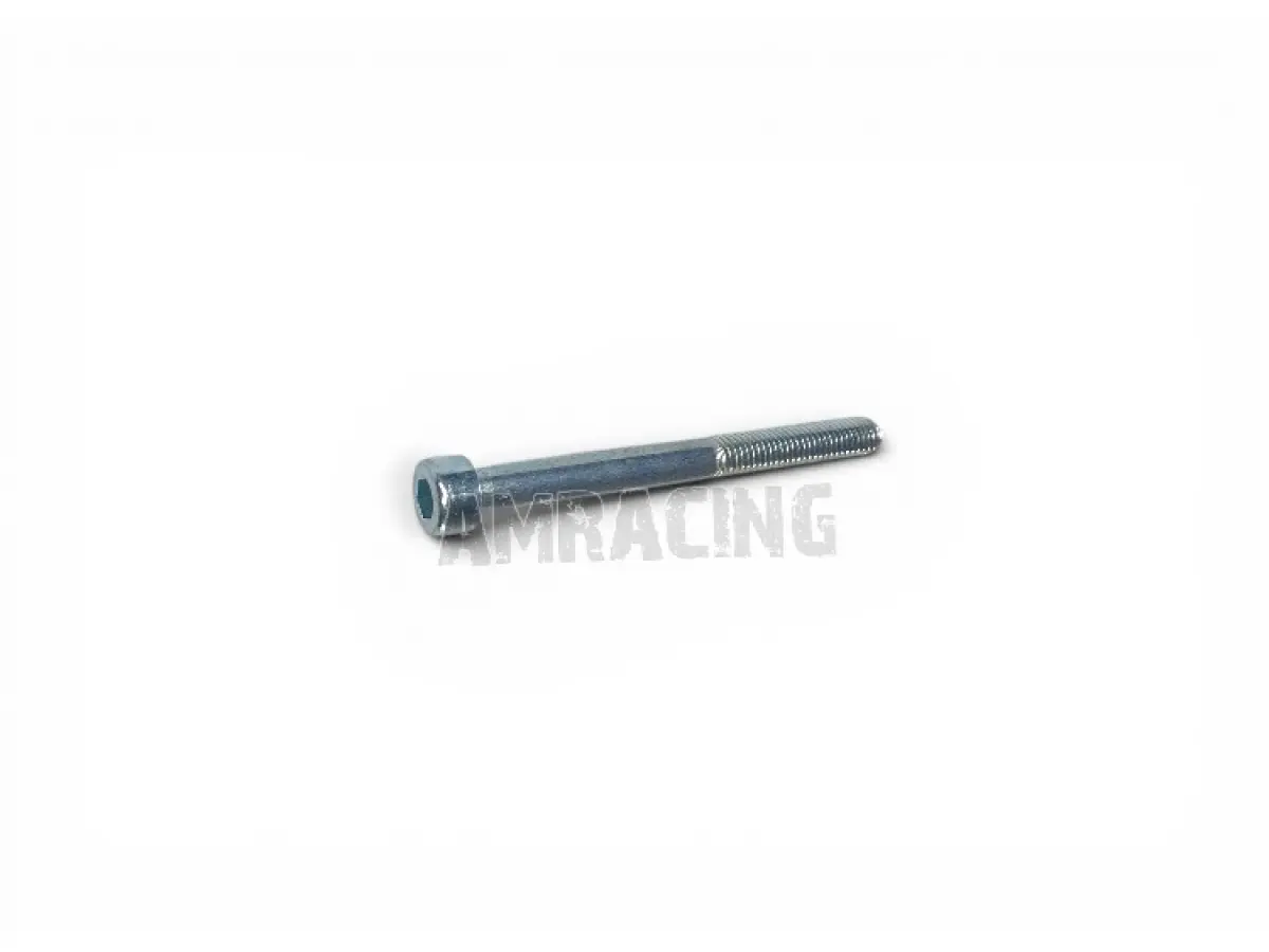 SCREW TCEI 5X55
